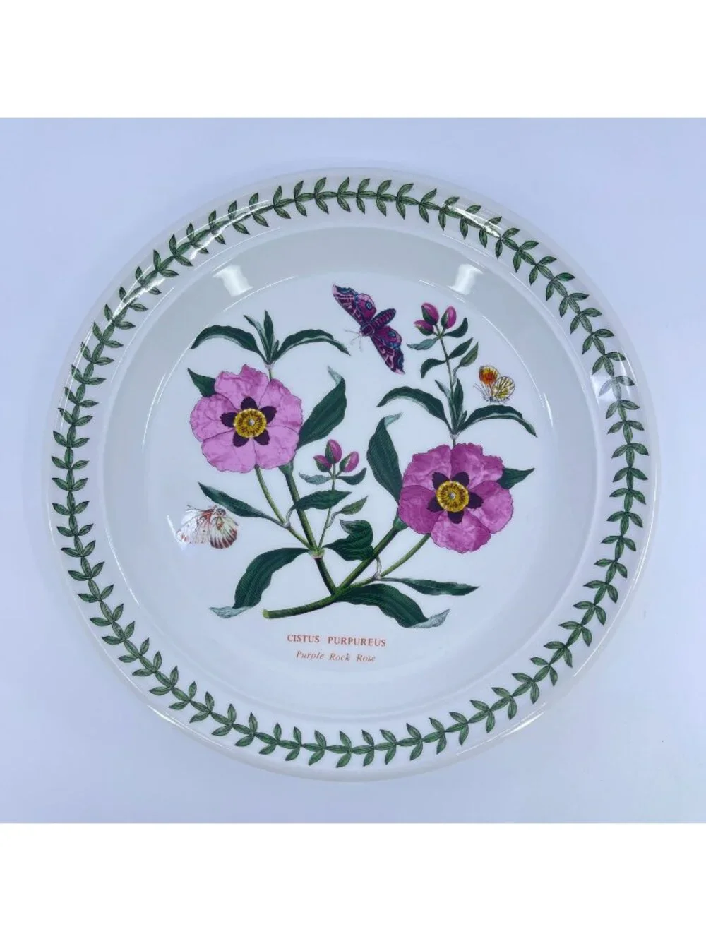vintage portmeirion botanic garden purple rock rose salad plate 8 1/2